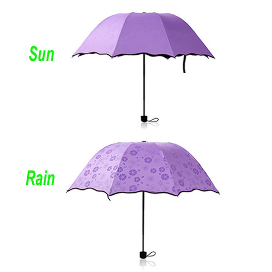 Color Changing Compact Umbrella with Met Water Begin Bloom
