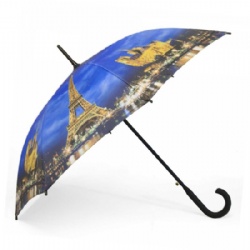 Stick umbrella printed with Paris motif