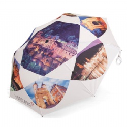 fashionable market folding umbrella