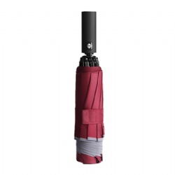 Portable Reverse 10 Ribs Auto Open and Close Inverted Umbrellas With Reflective Piping