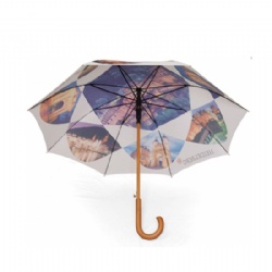 Classic Auto Open Umbrella with Real Wooden Hook Handle