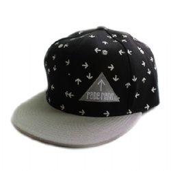 Customized Hat Hip Hop Snapback Cap with Embroidery